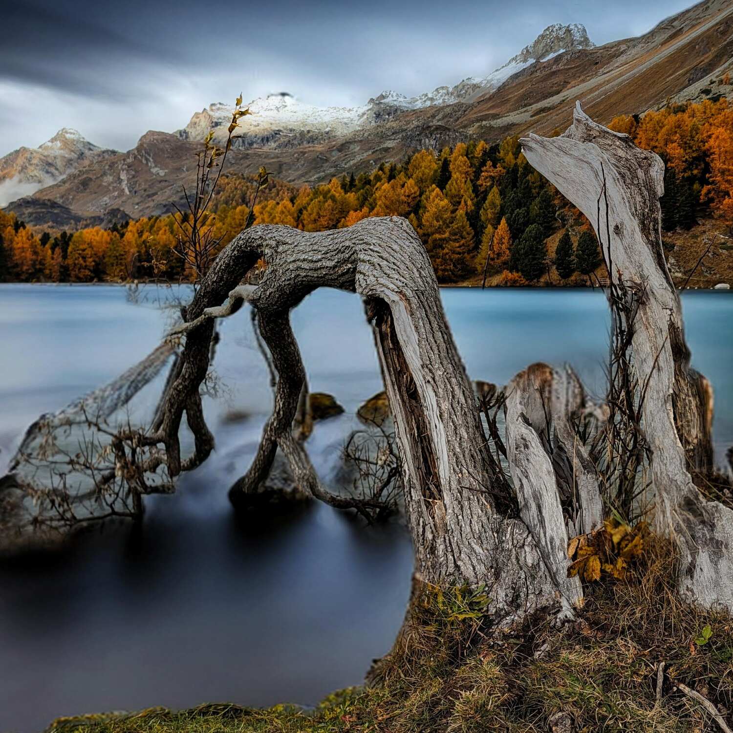 Engadin Autumn 2023