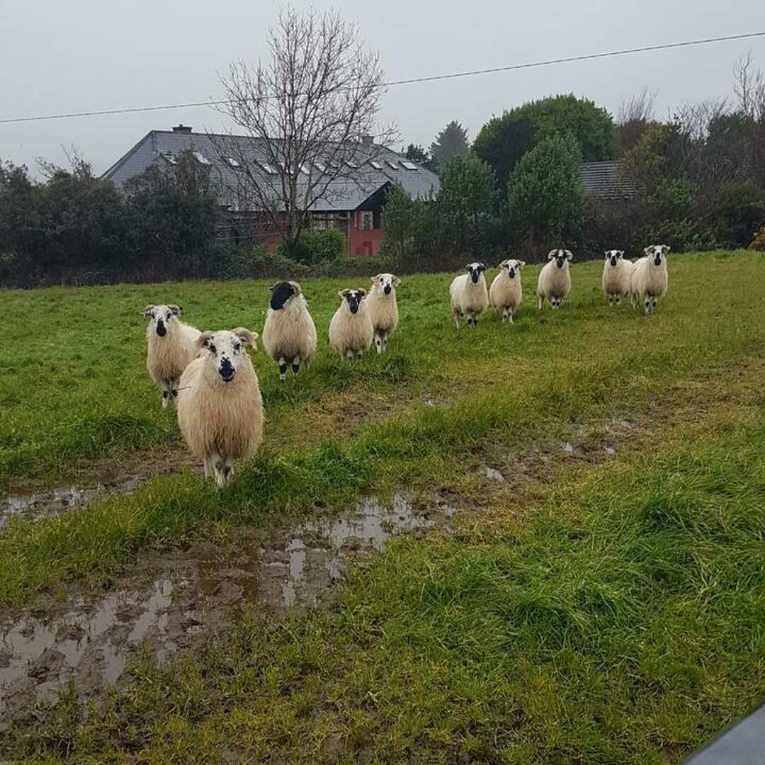 Irland