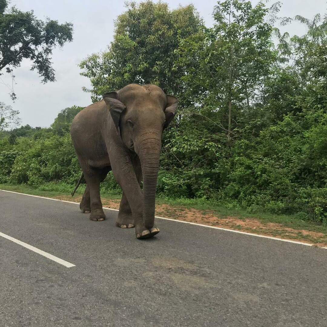 Sri Lanka