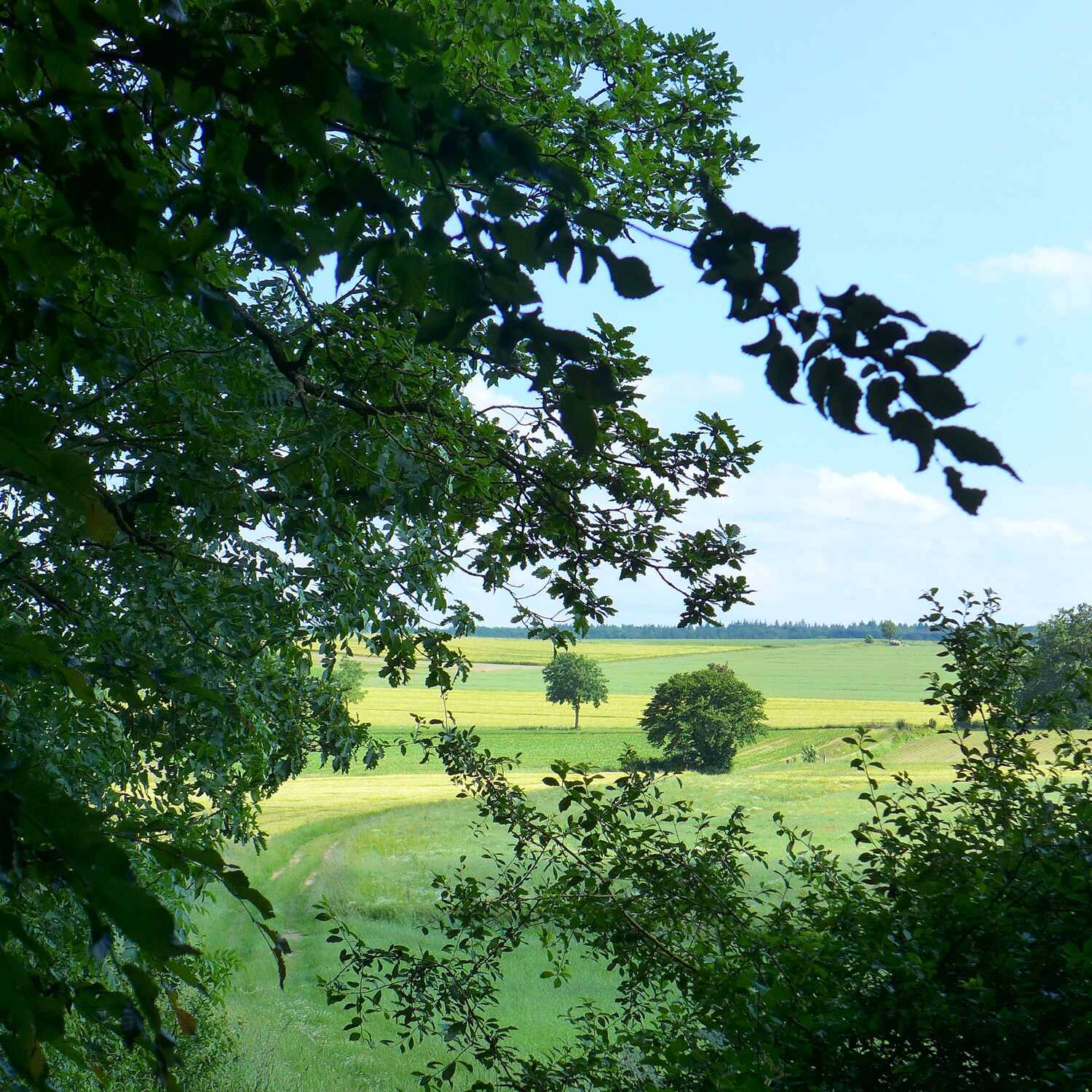 Weserberglandweg