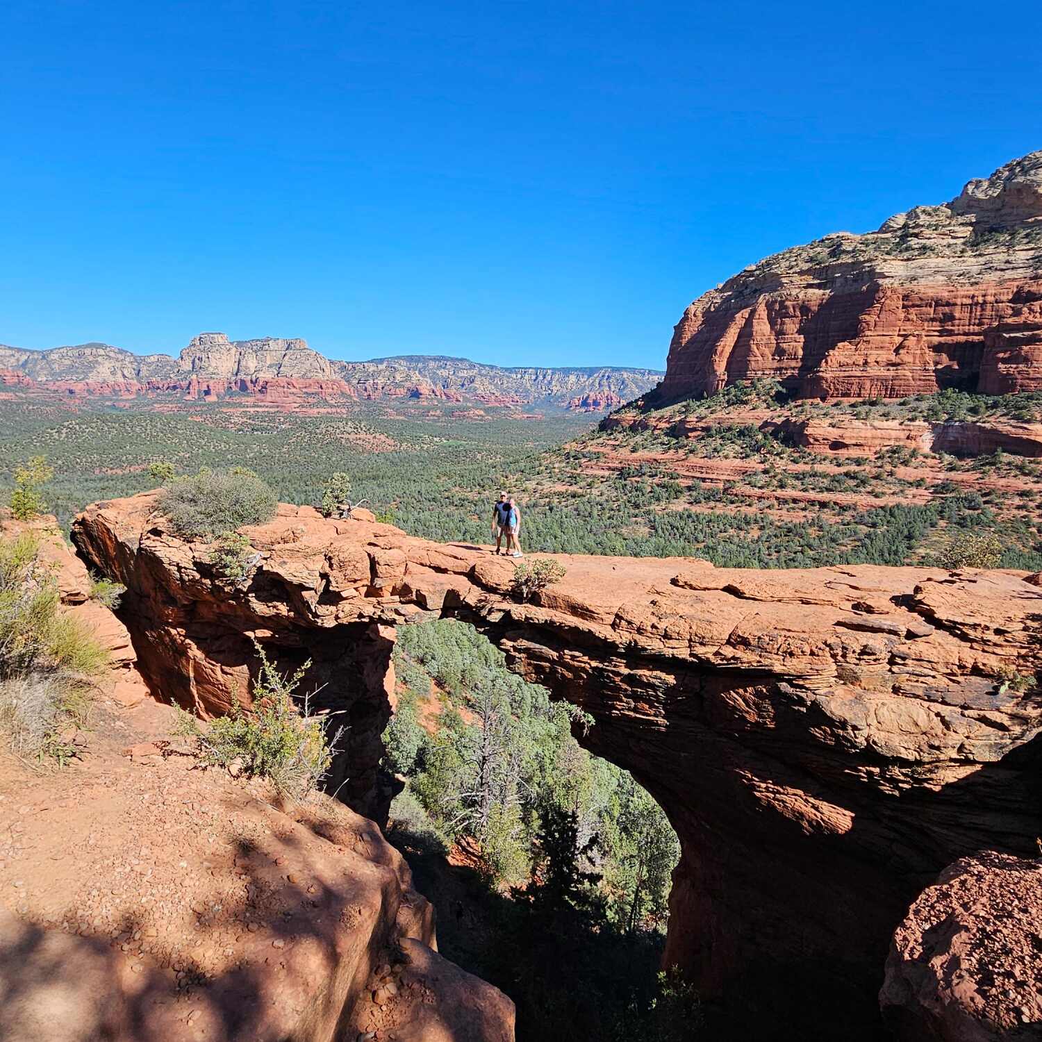 Arizona 2024