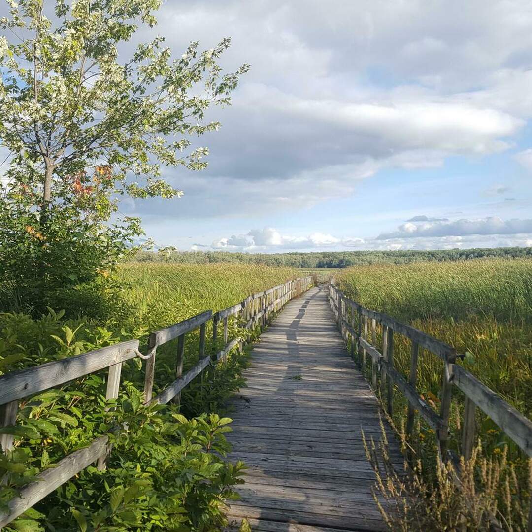 Fin de semaine québécoise