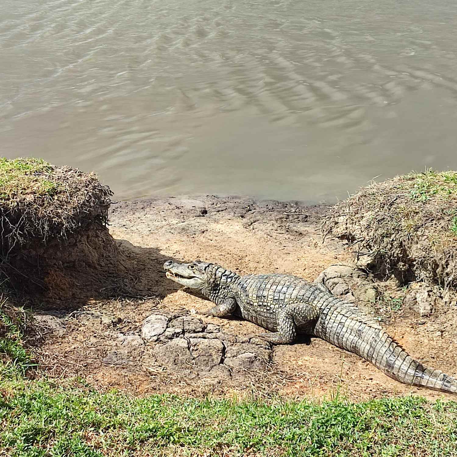 Road trip en Guyane