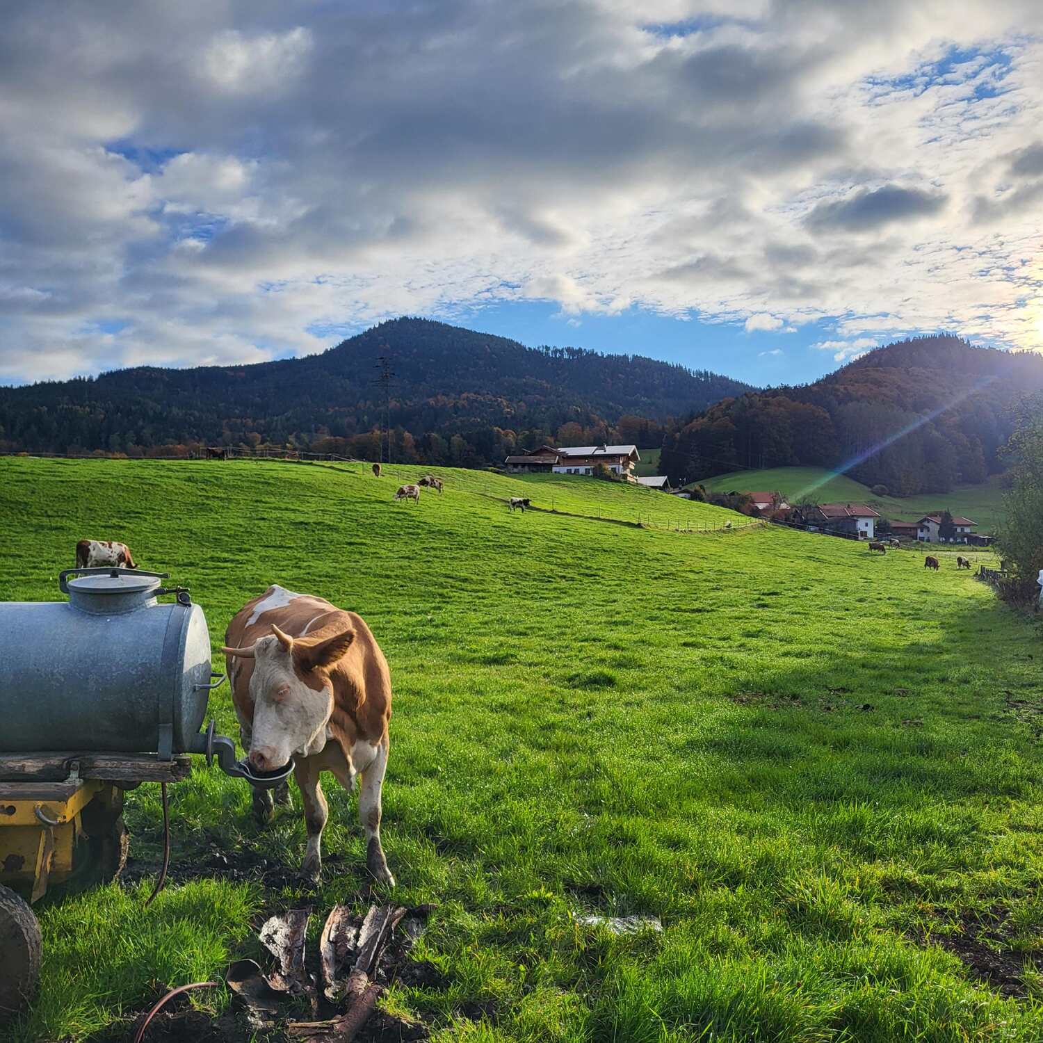 Chiemgau