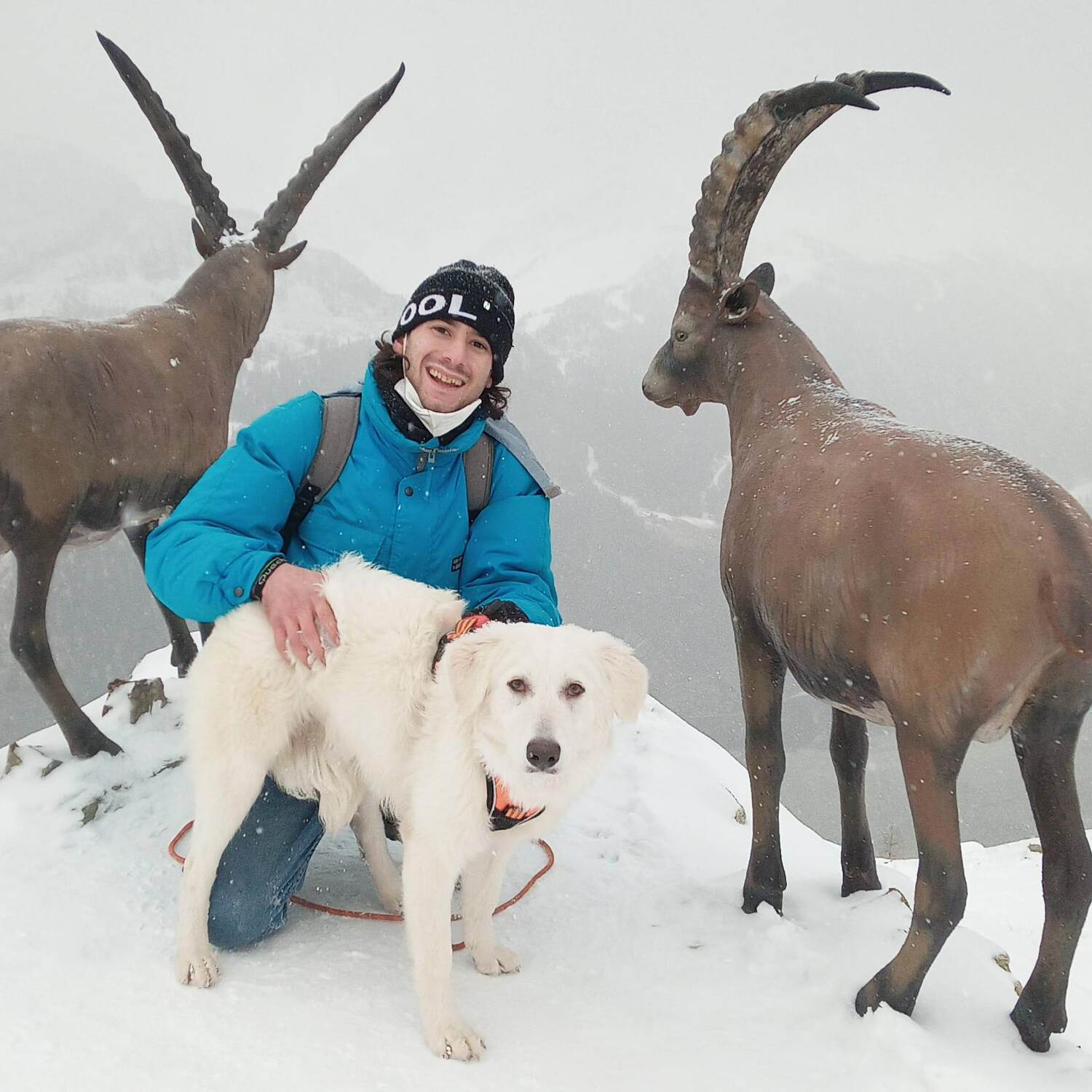 Monte Bianco (Mont Blanc)