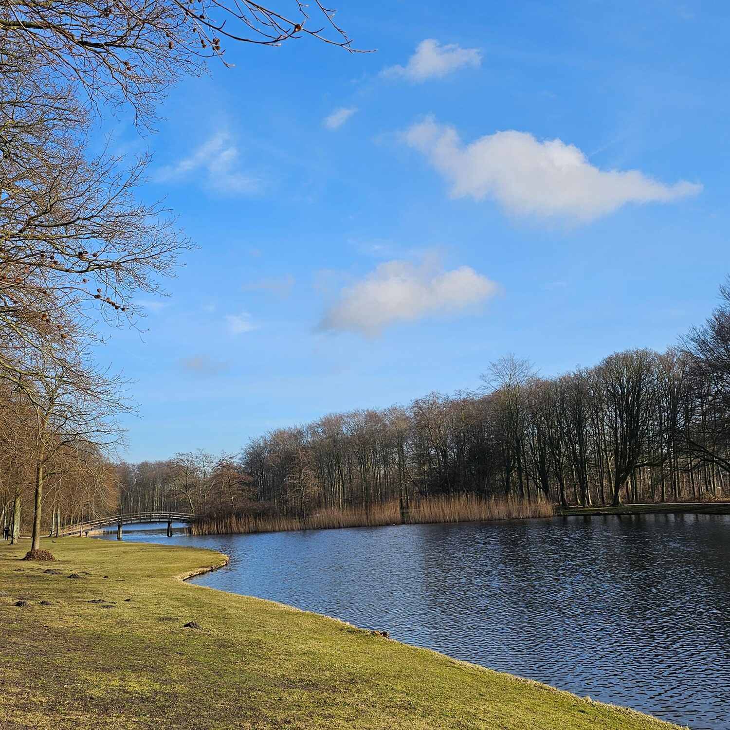 Haag