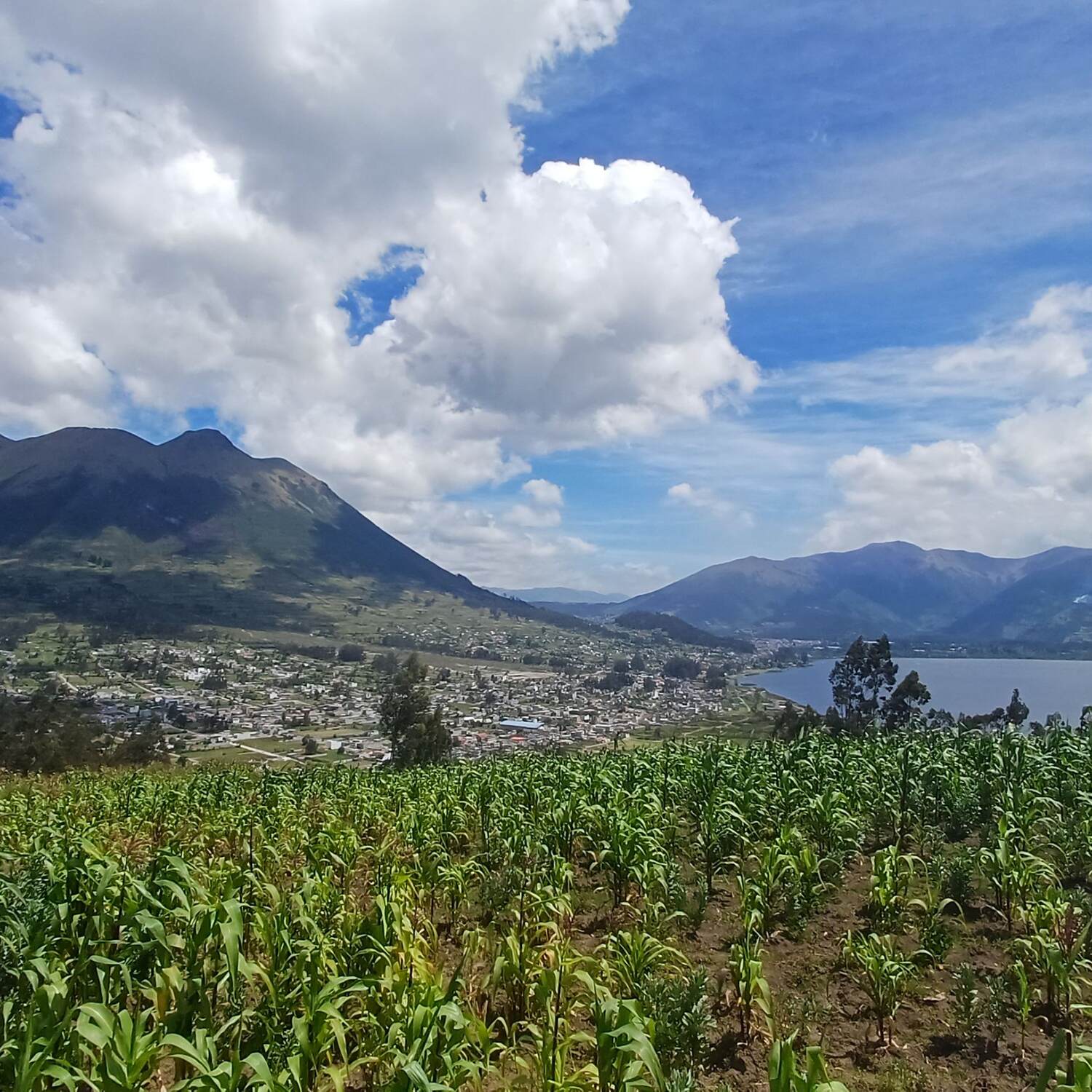EL ECUADOR !!! 🇻🇪🌿🐦🐢