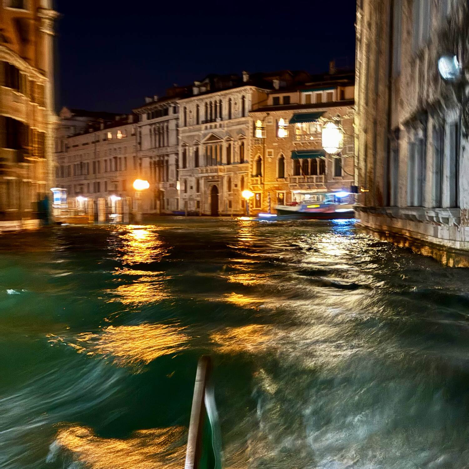 Venice 2025 - Vogalonga