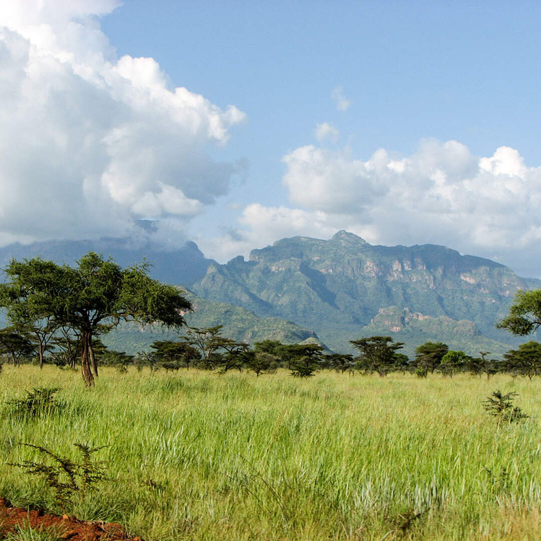 S&L go Africa