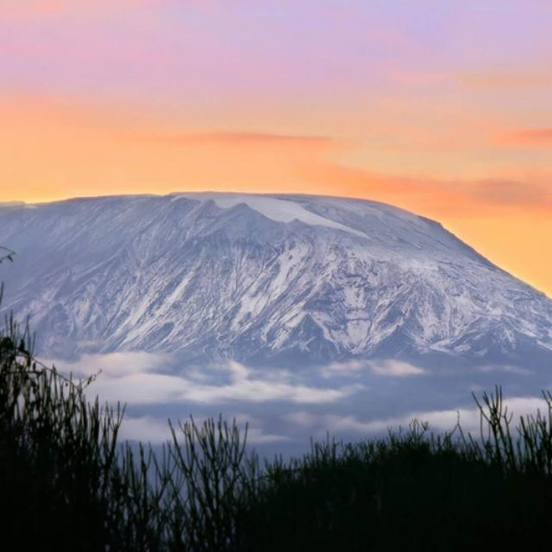 Kilimanjaro 2020