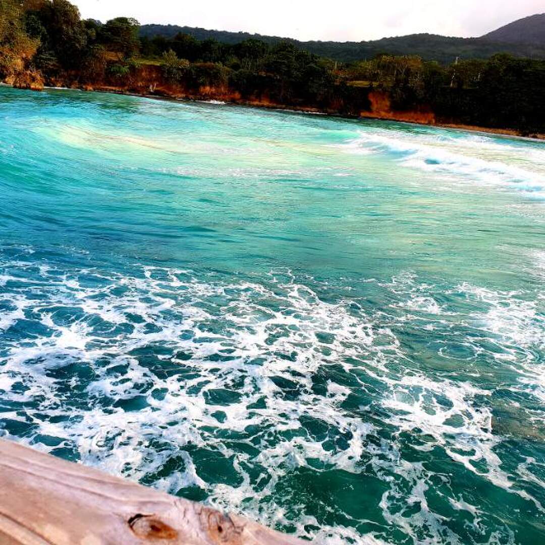 New York Florida Jamaica