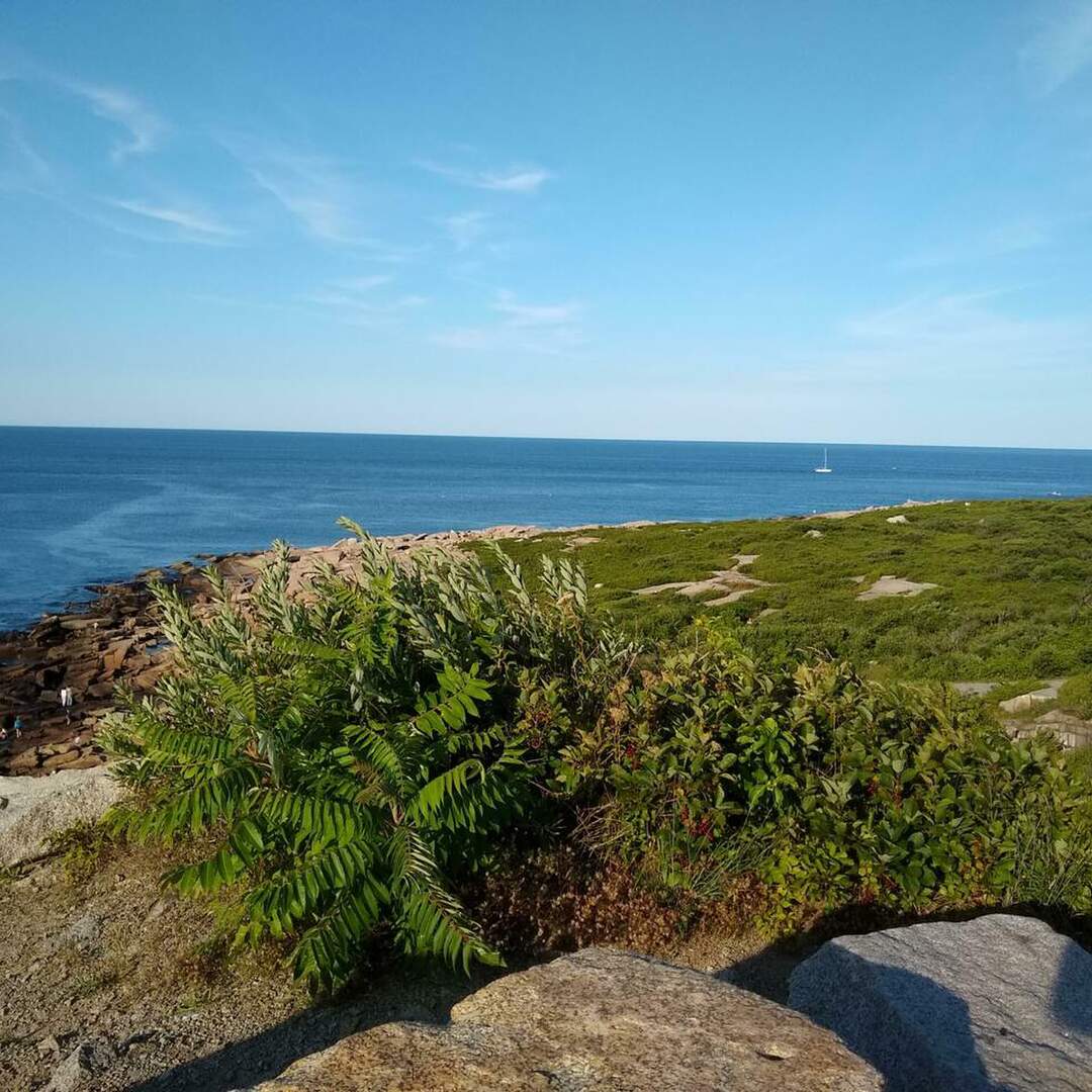 New England
