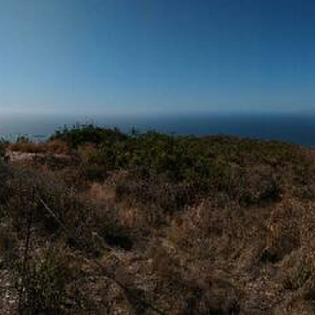 Los Osos