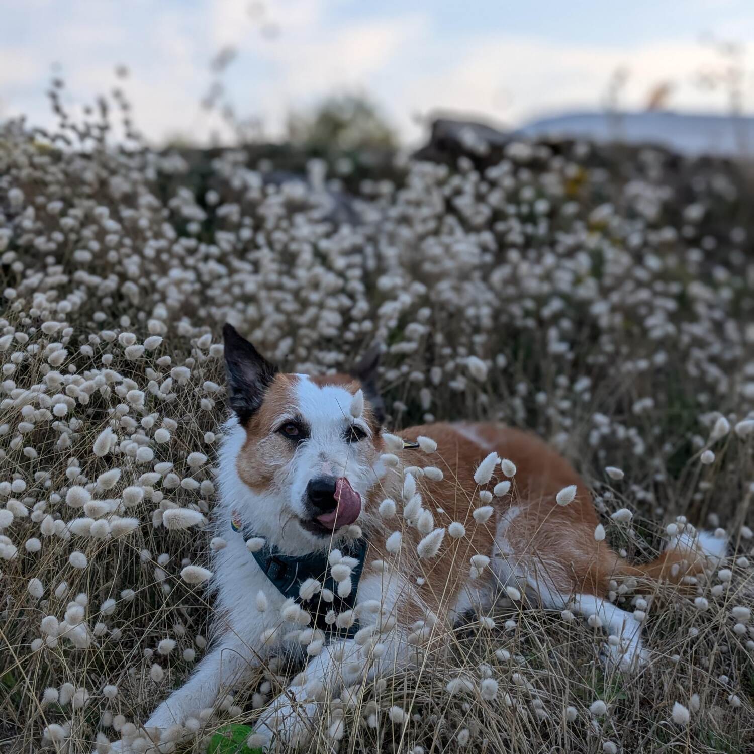 Autoroute du kiff 24