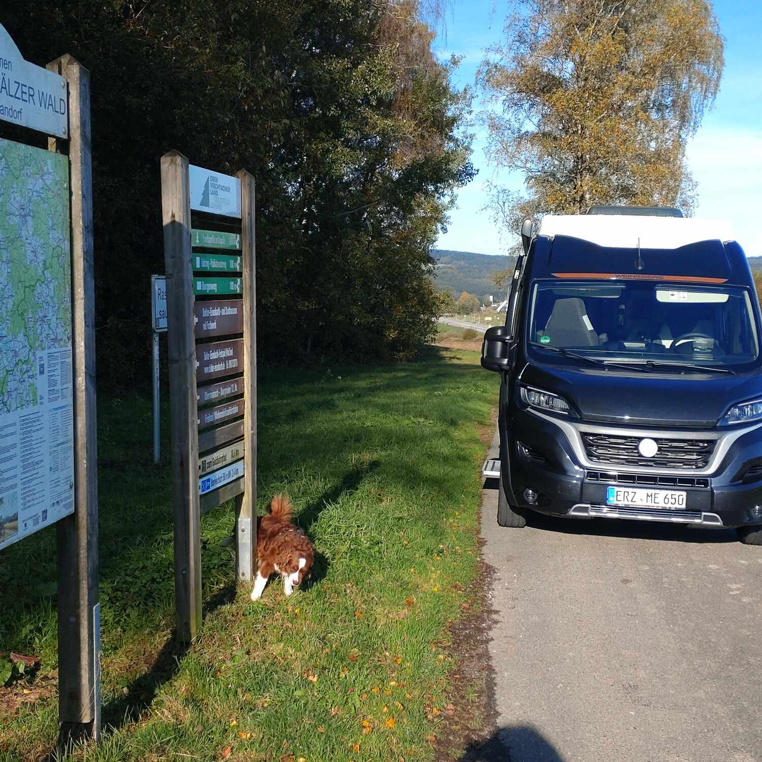 An der schönen blauen Donau
