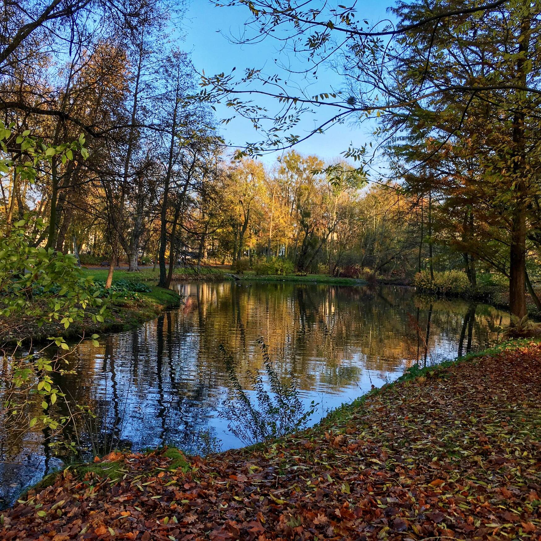 Poznań 2017