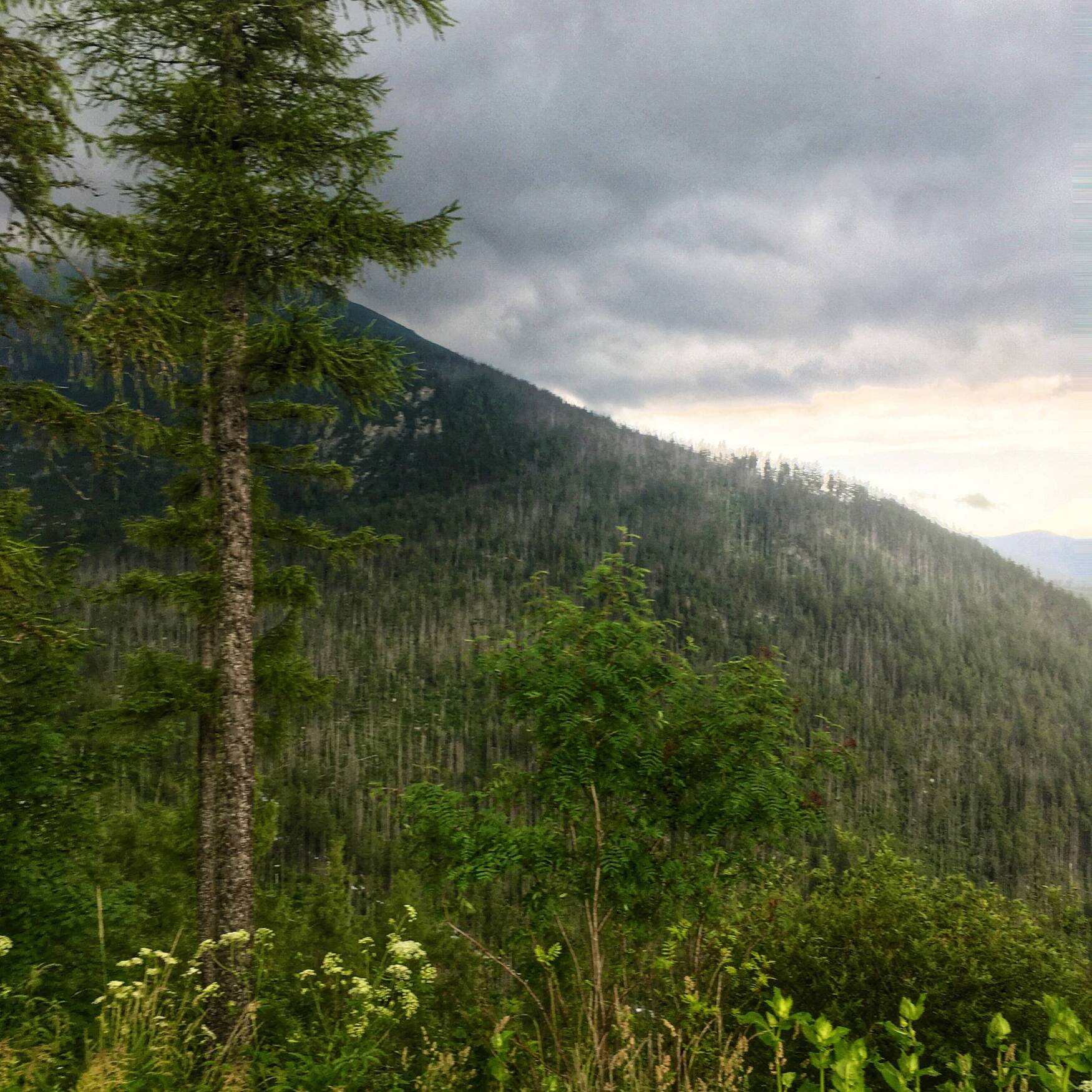 Pieniny & Tatry & Kraków 2020