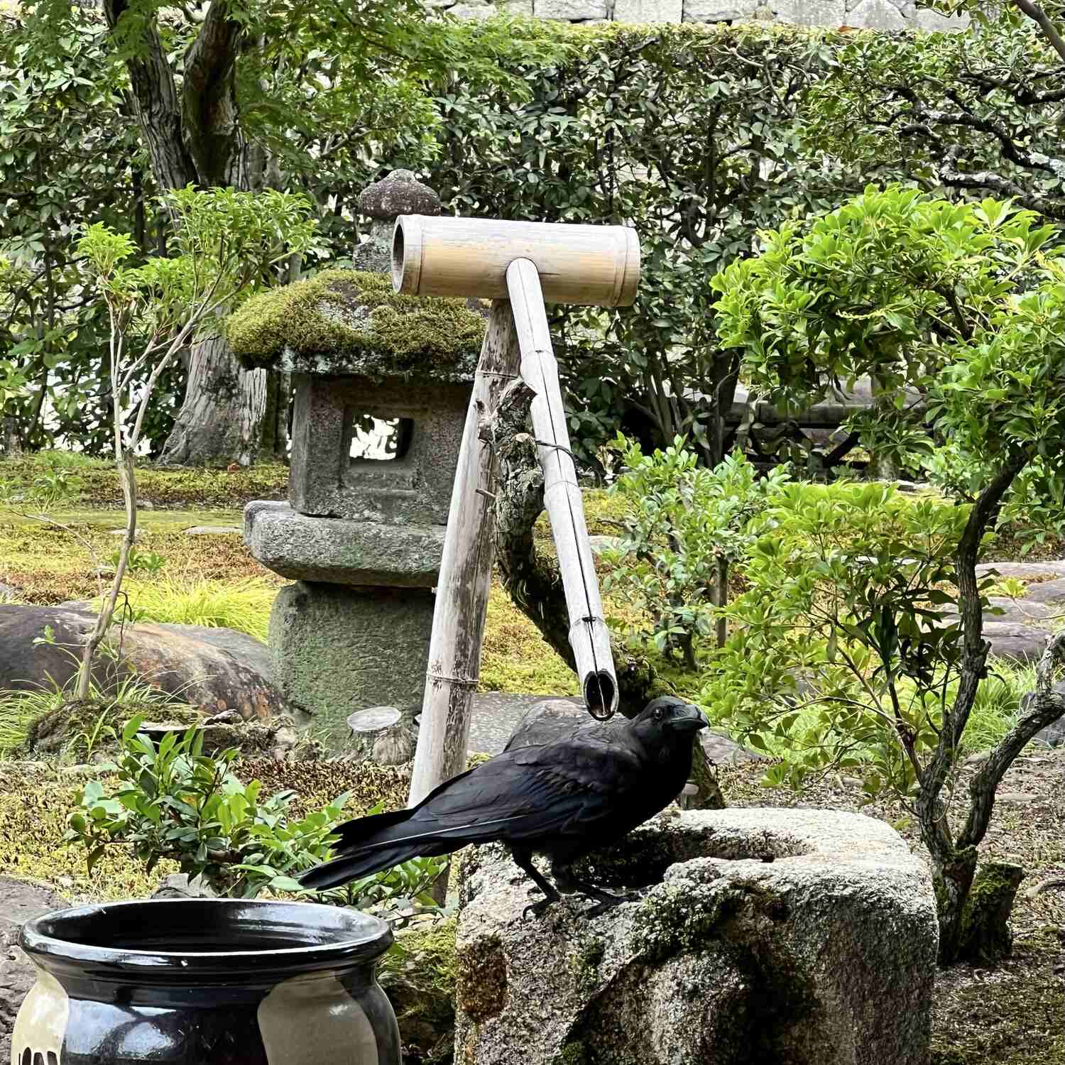 Japan 2026
