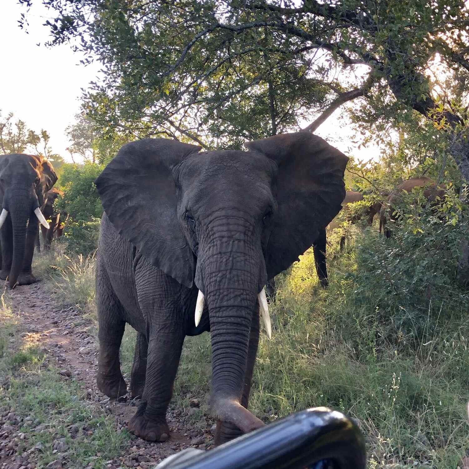 South Africa