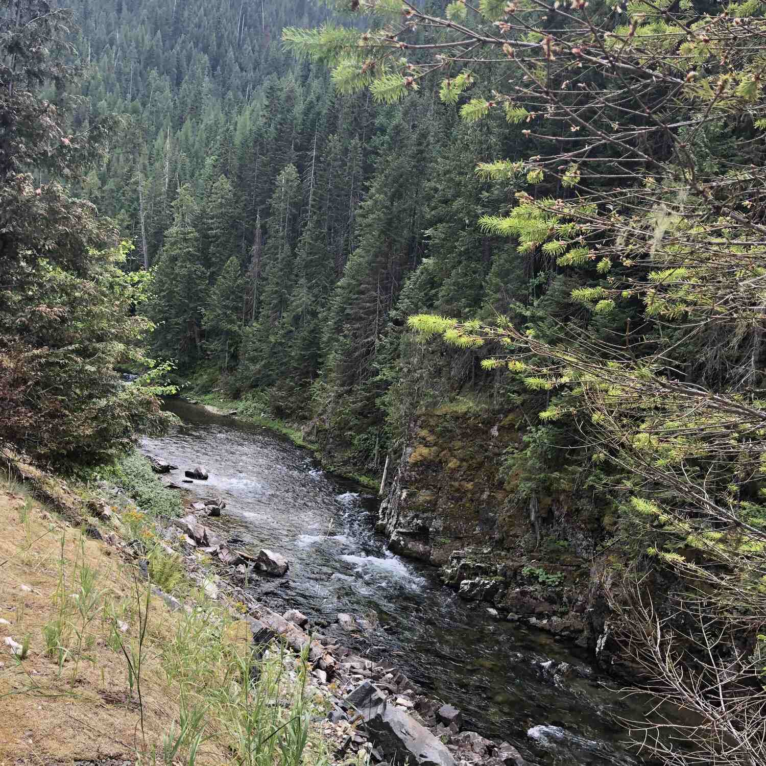 St Joe River