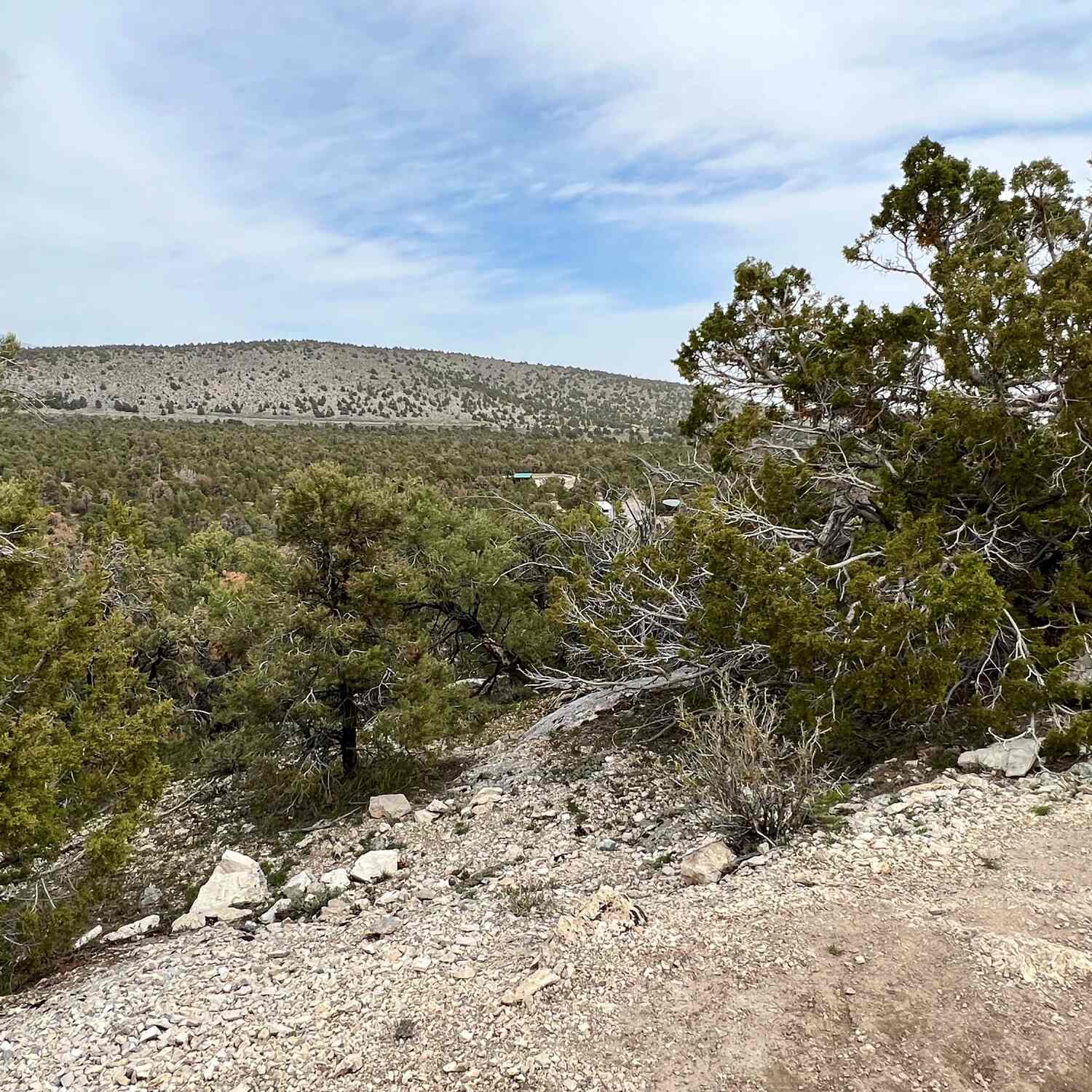Nevada