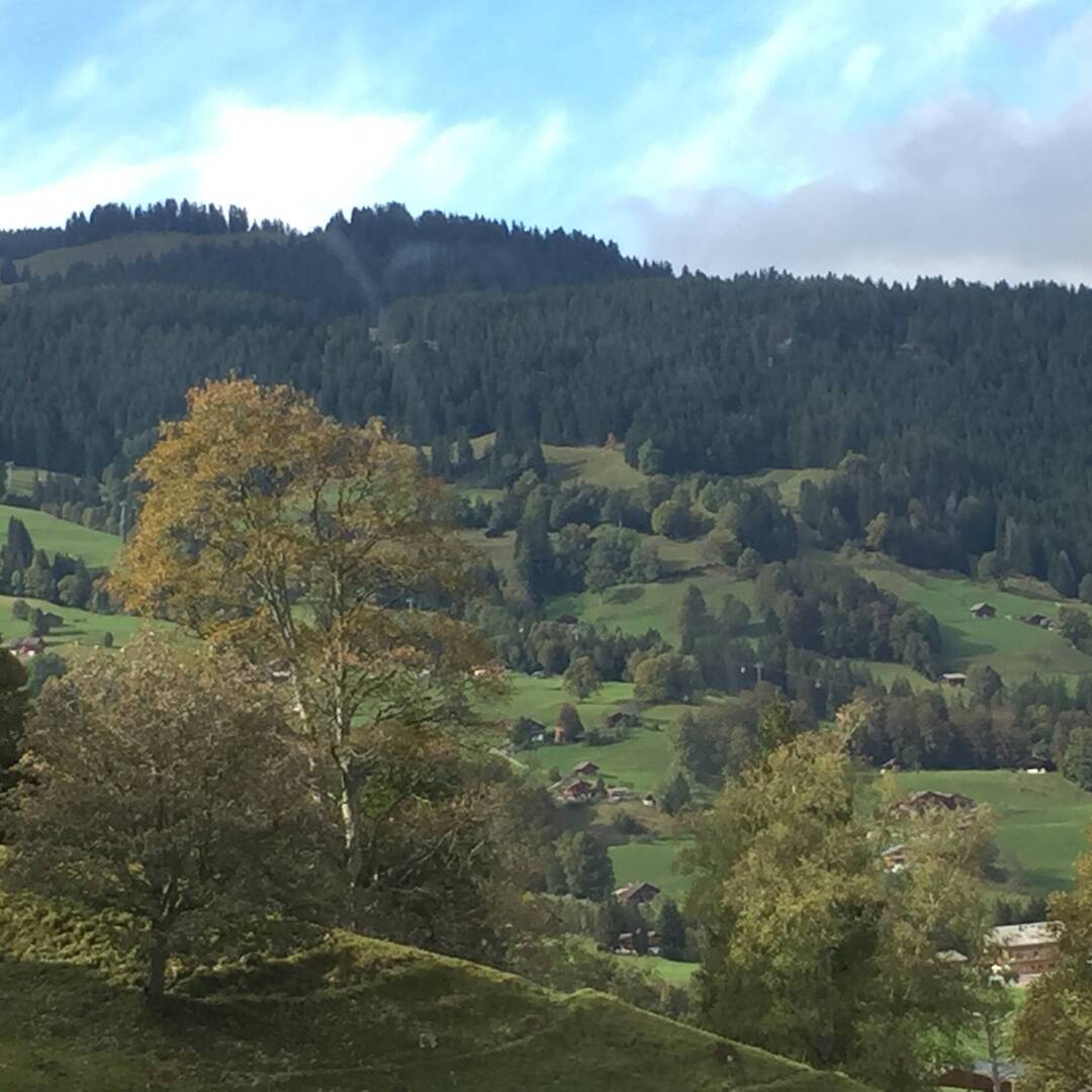 Romance of the Rhine & Mosel