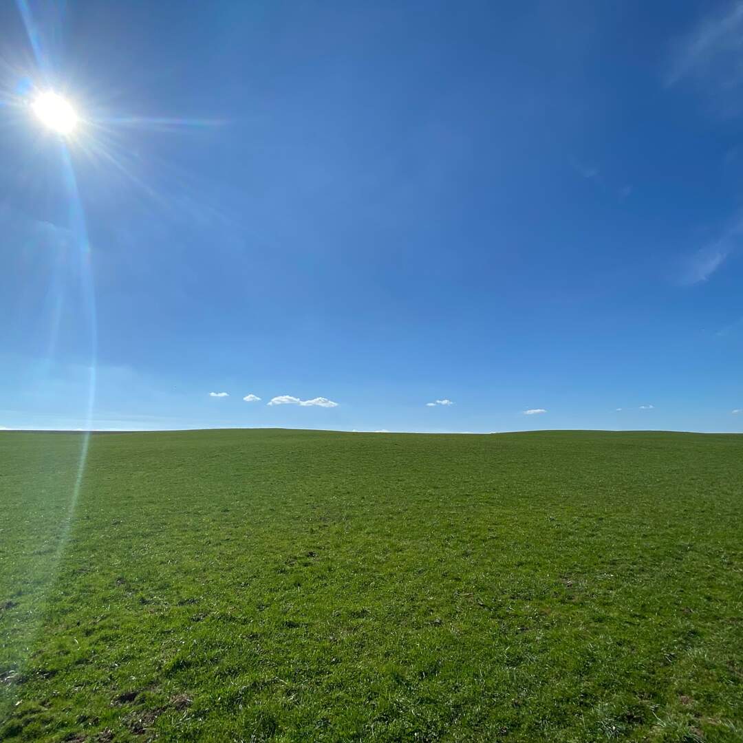 Durchs wilde Schwabenland
