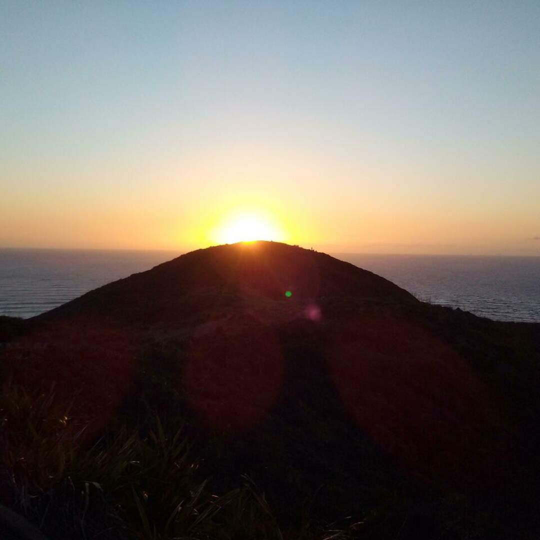 Pazapa