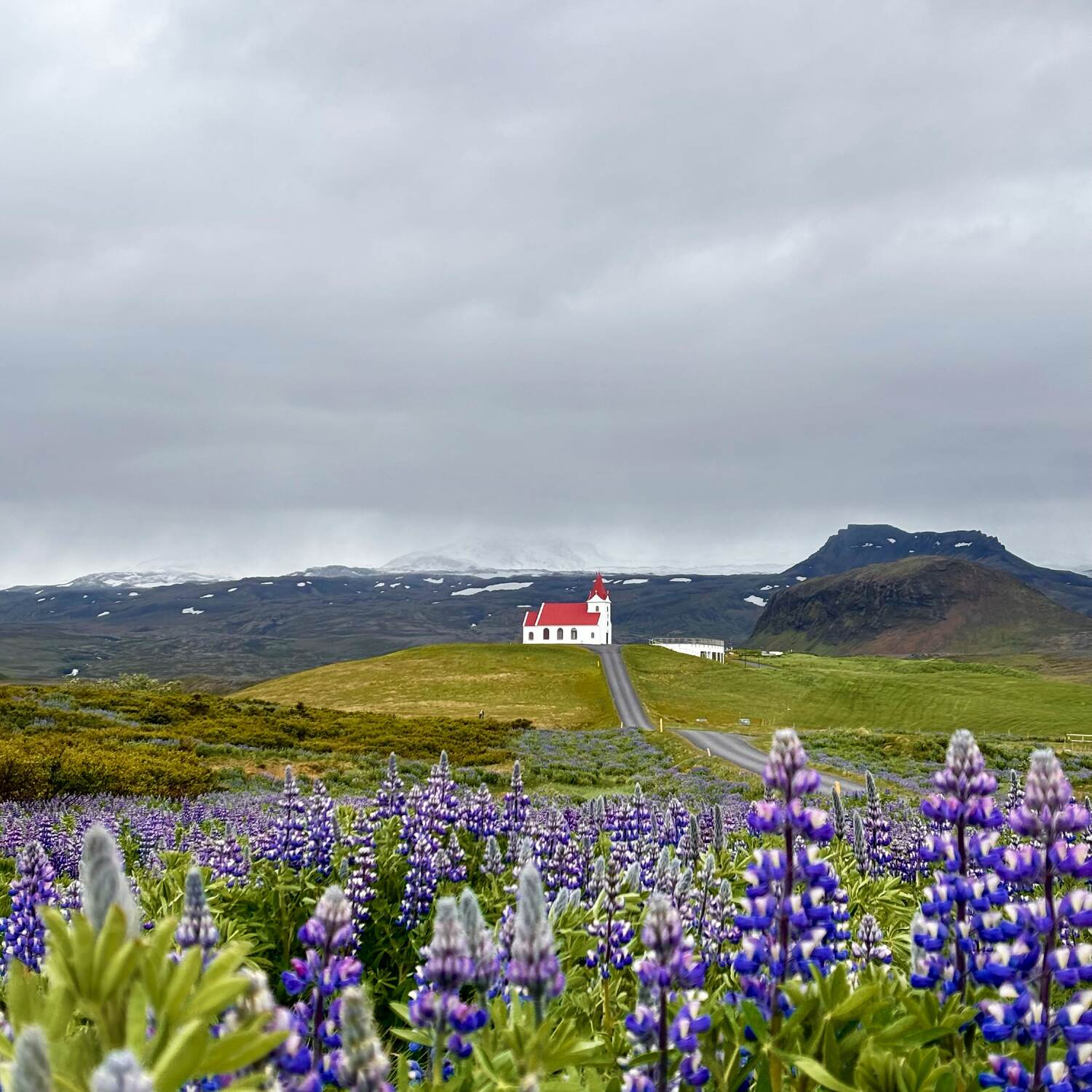 ICELAND · 2025 · 65°N