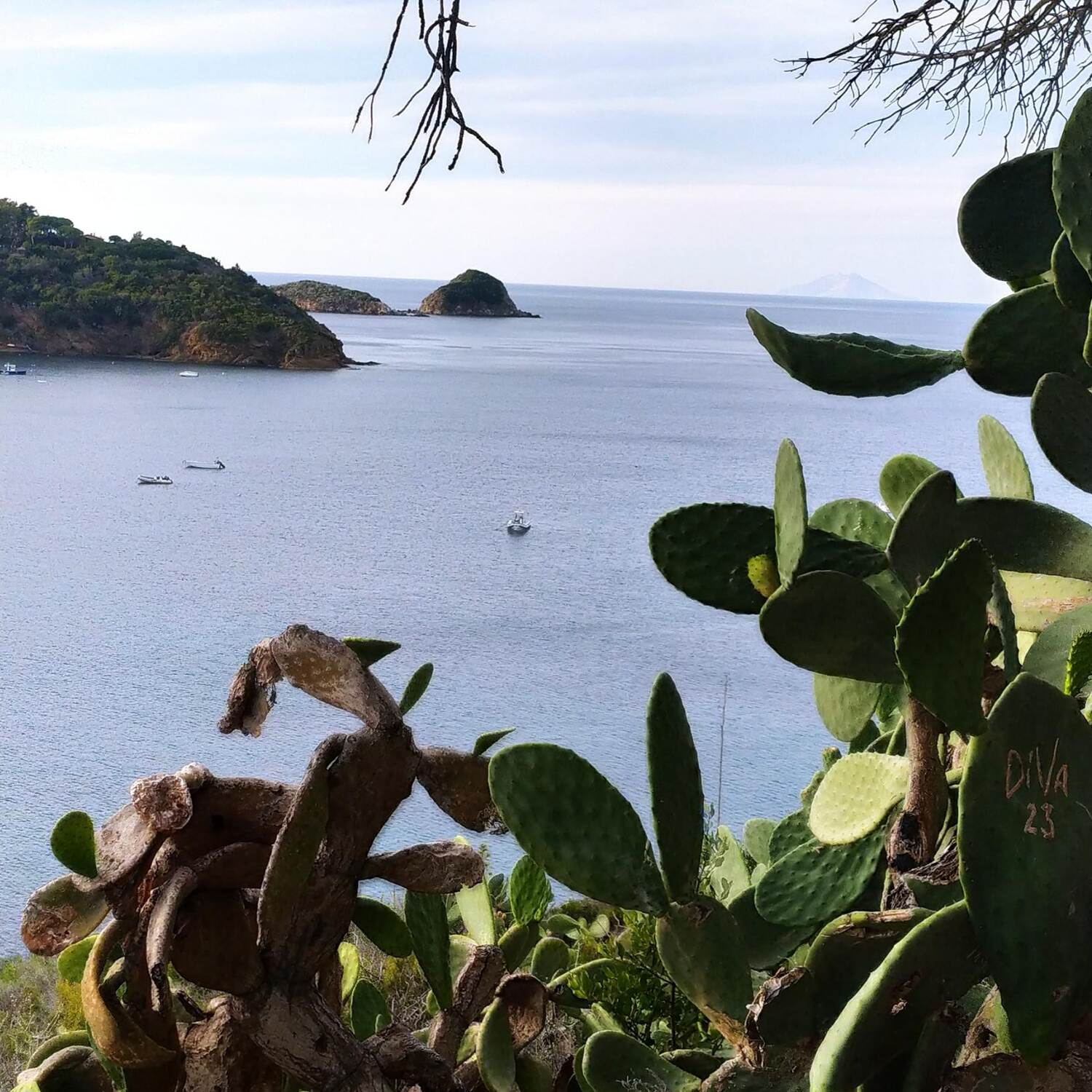 Relax all'Elba