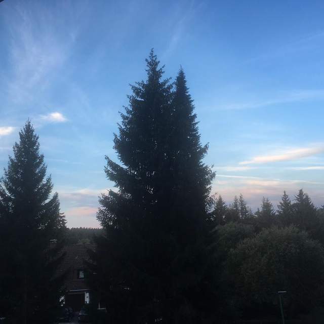 Harzwochenende