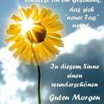 Inge Exenberger