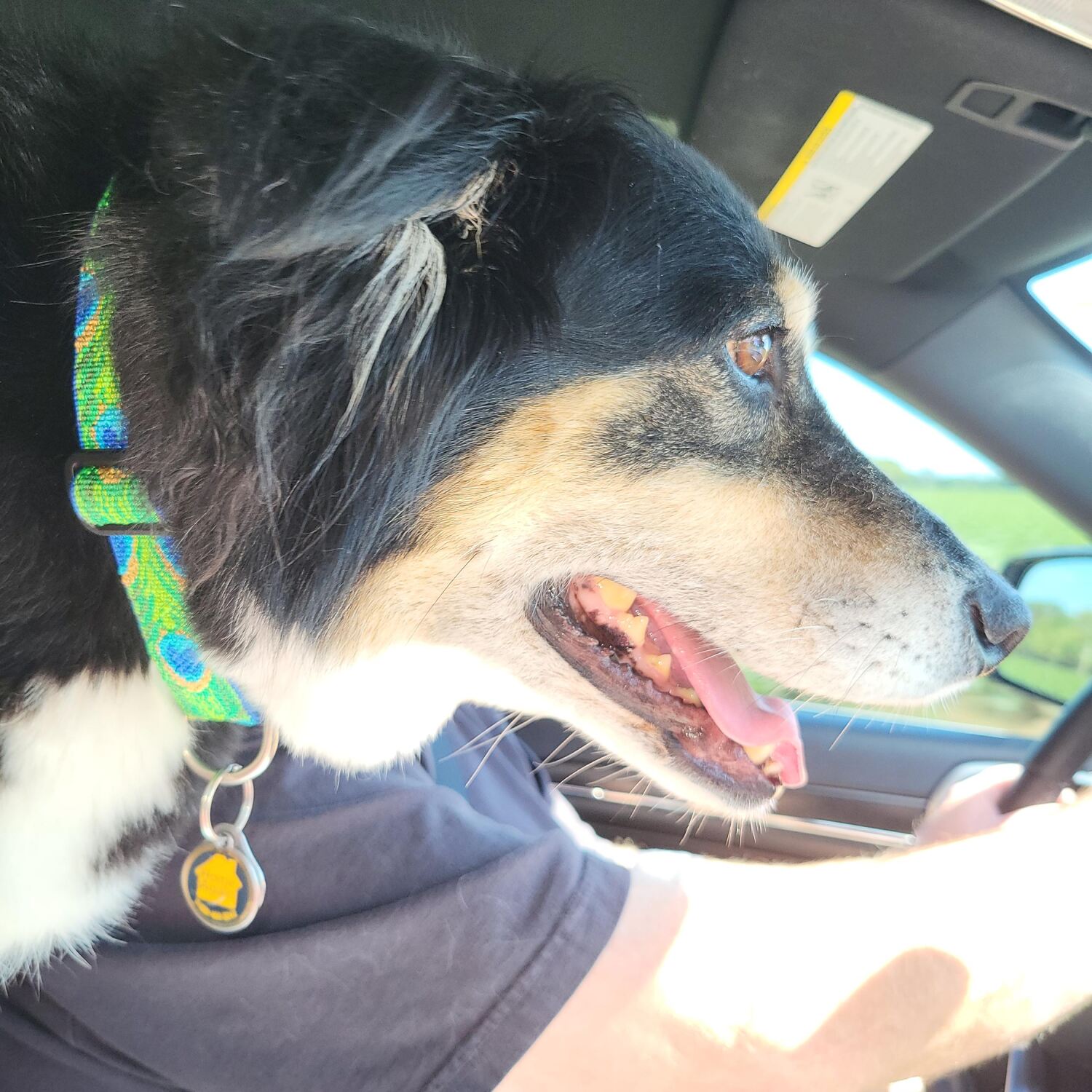 Wrigley’s Fall Adventures 2025