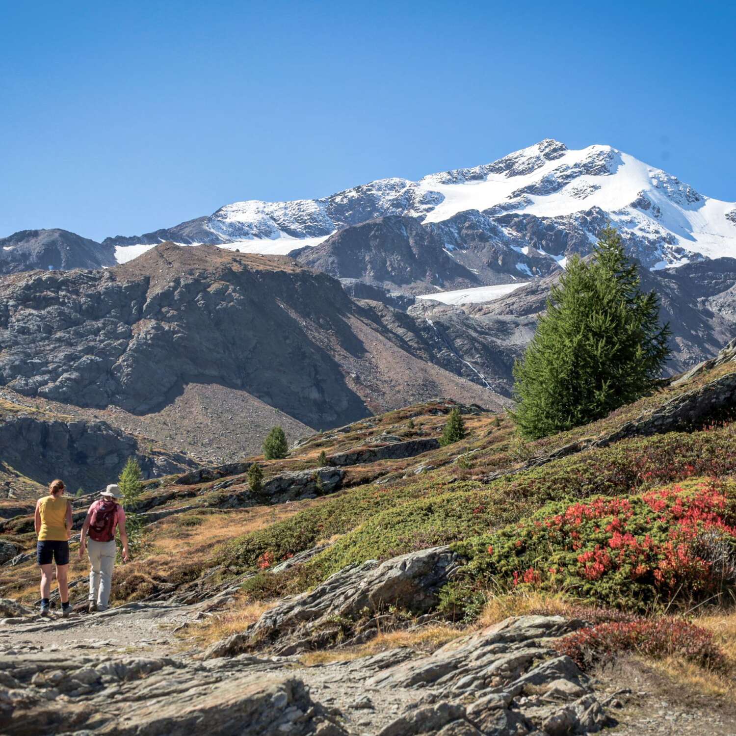 Südtirol / Meraner Höhenweg