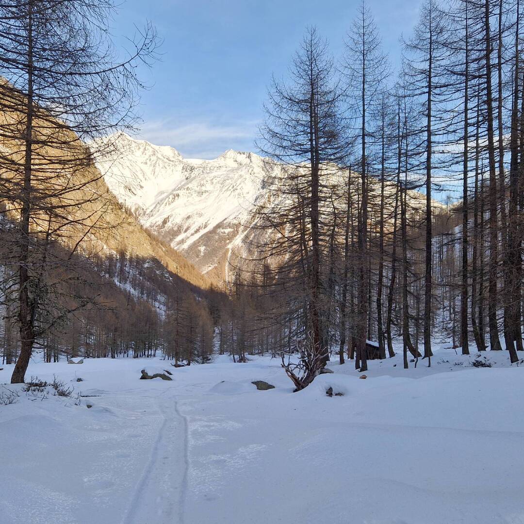 Winterurlaub Südtirol