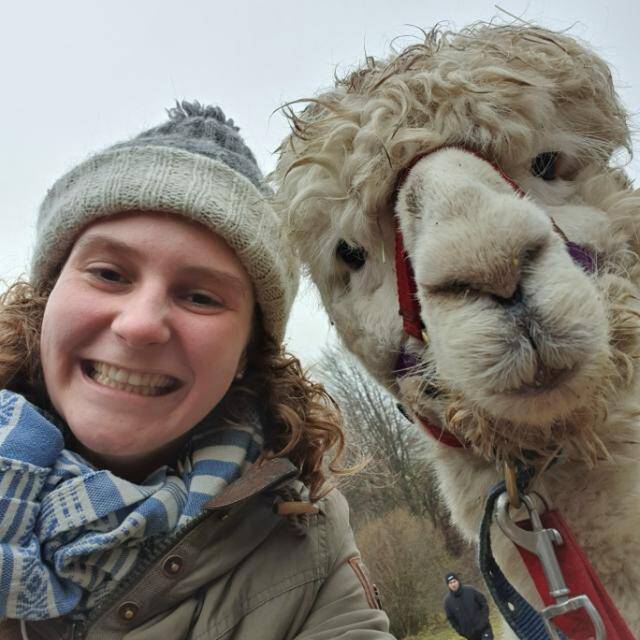 CurlyRoo