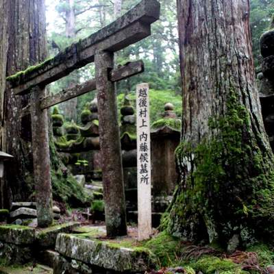 Japan 2014