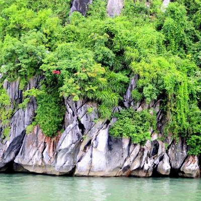 Vietnam 2014