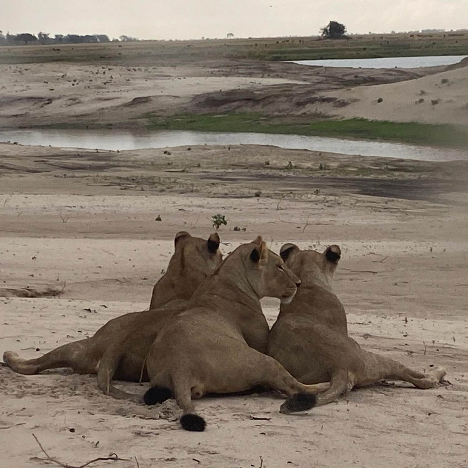 2024 Afrika