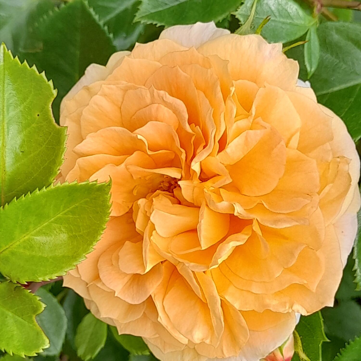 Doch noch eine Sommerreise.