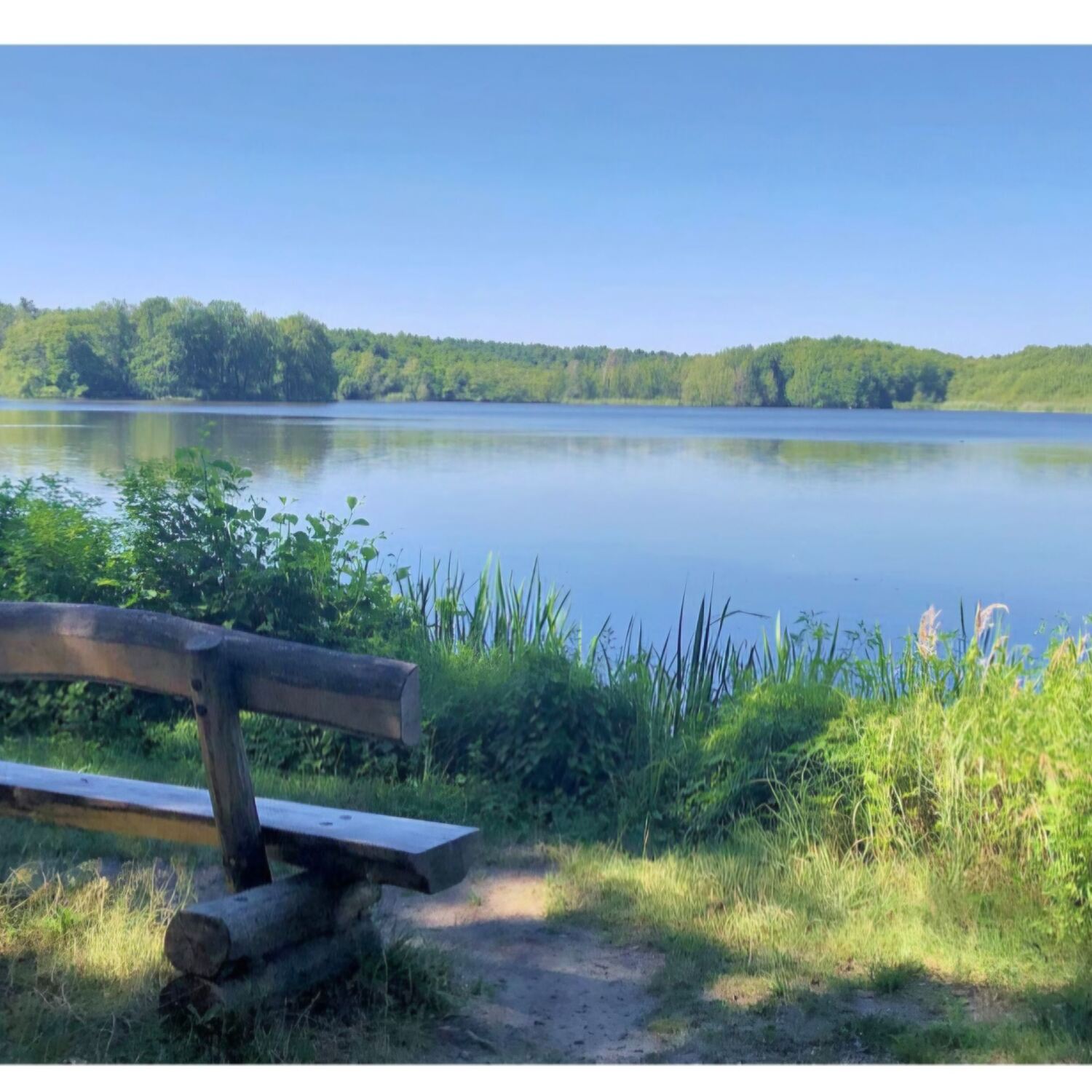 Noch eine Woche Sommer...