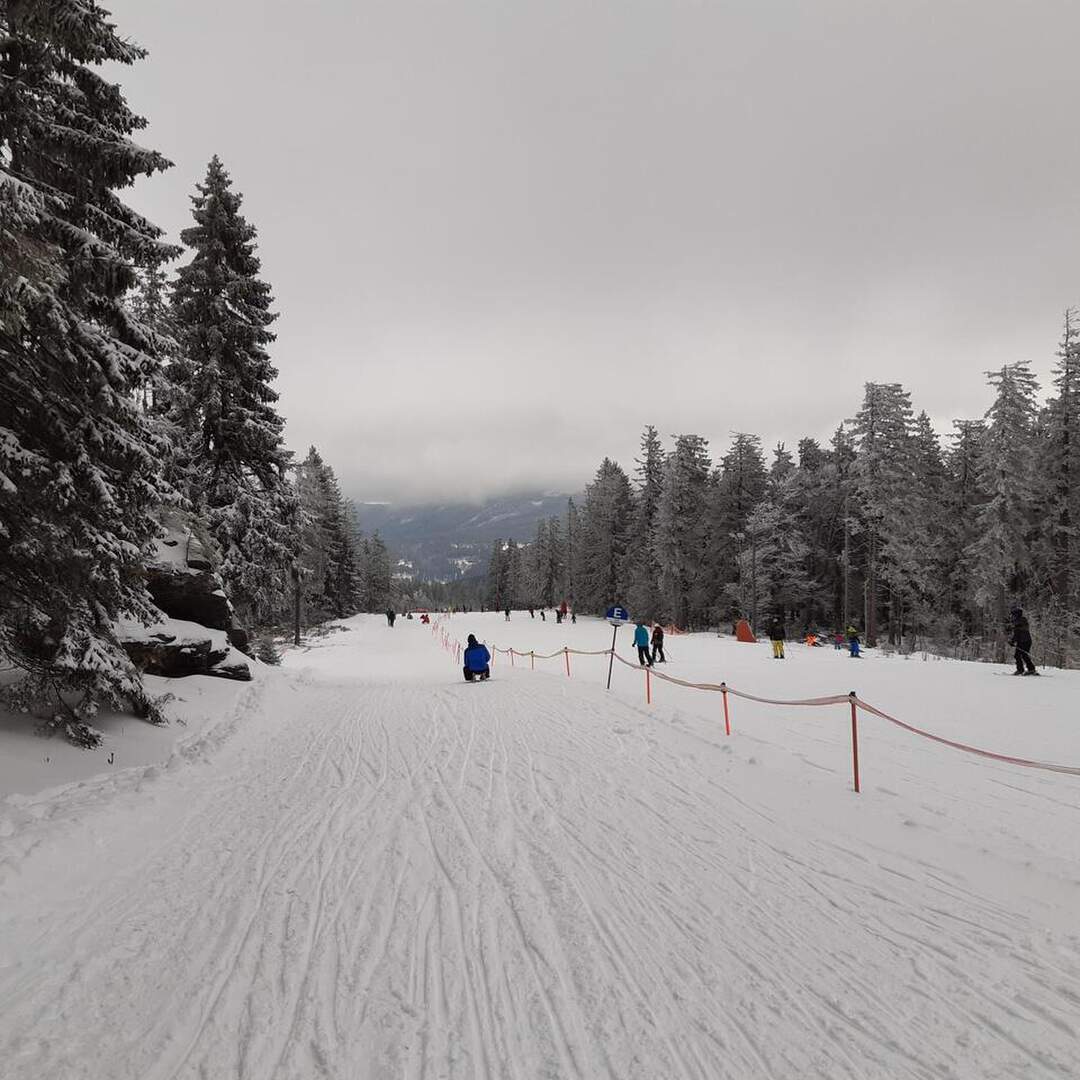 Rodeln am Großen Arber