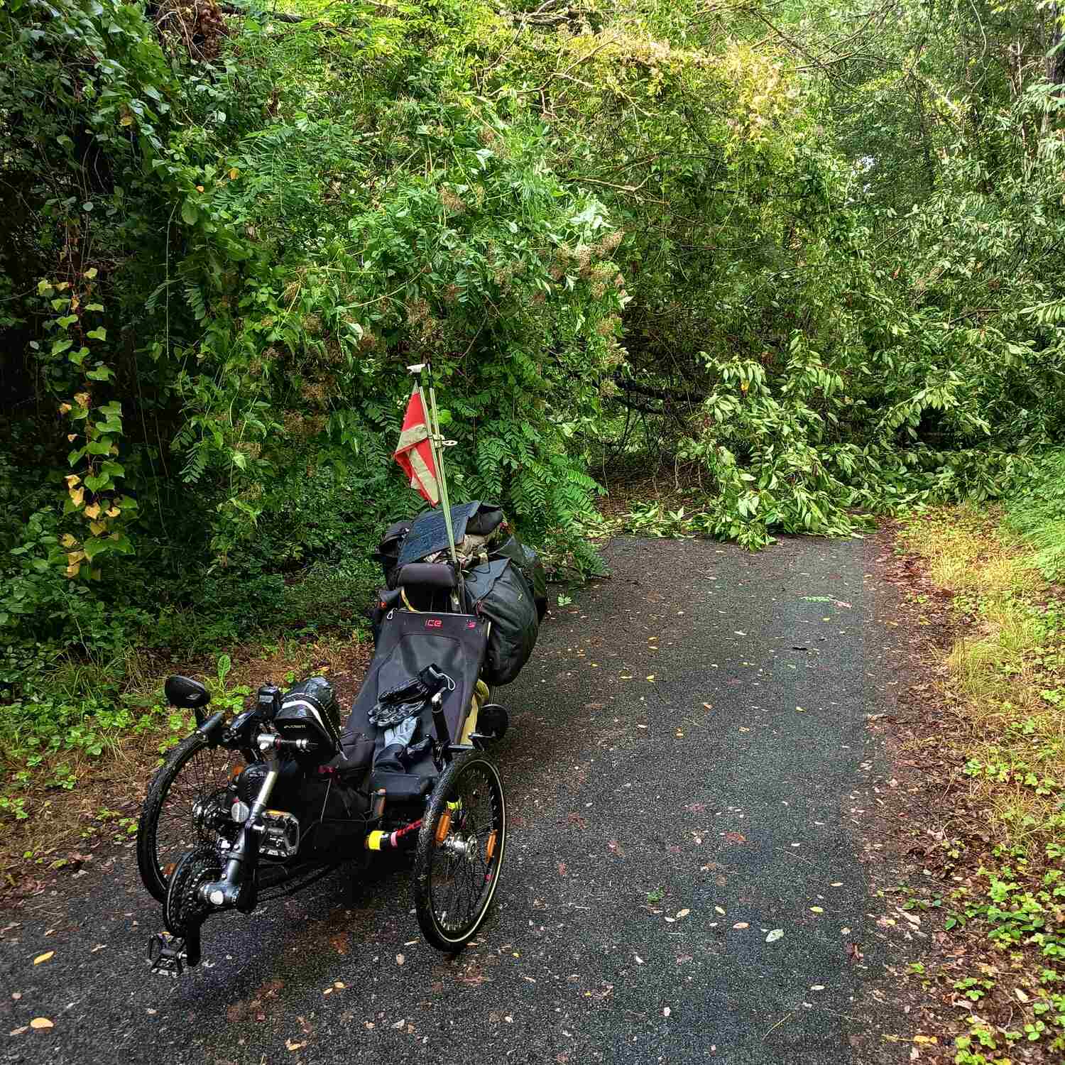 UN P’TIT VÉLO DANS LA TÊTE POUR L’UKRAINE