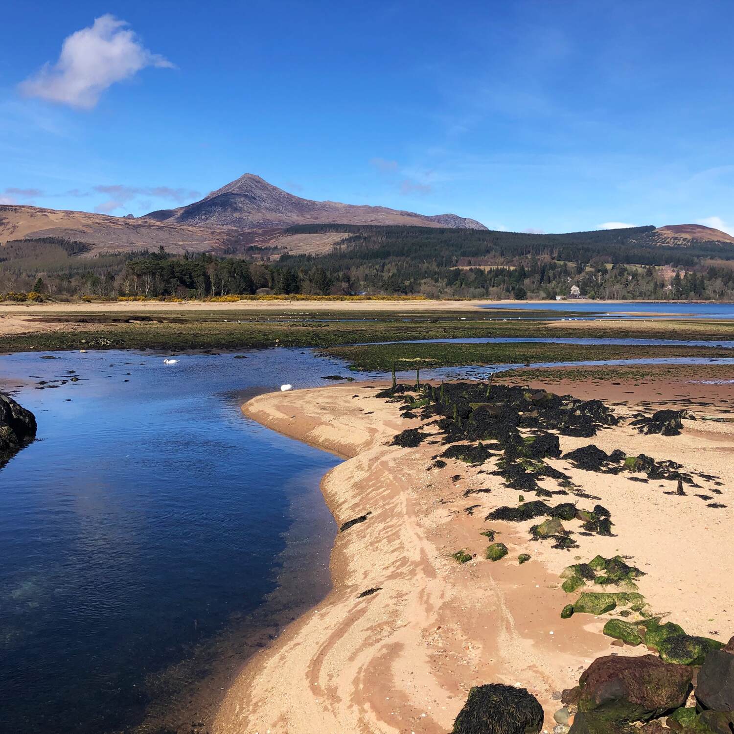 Arran