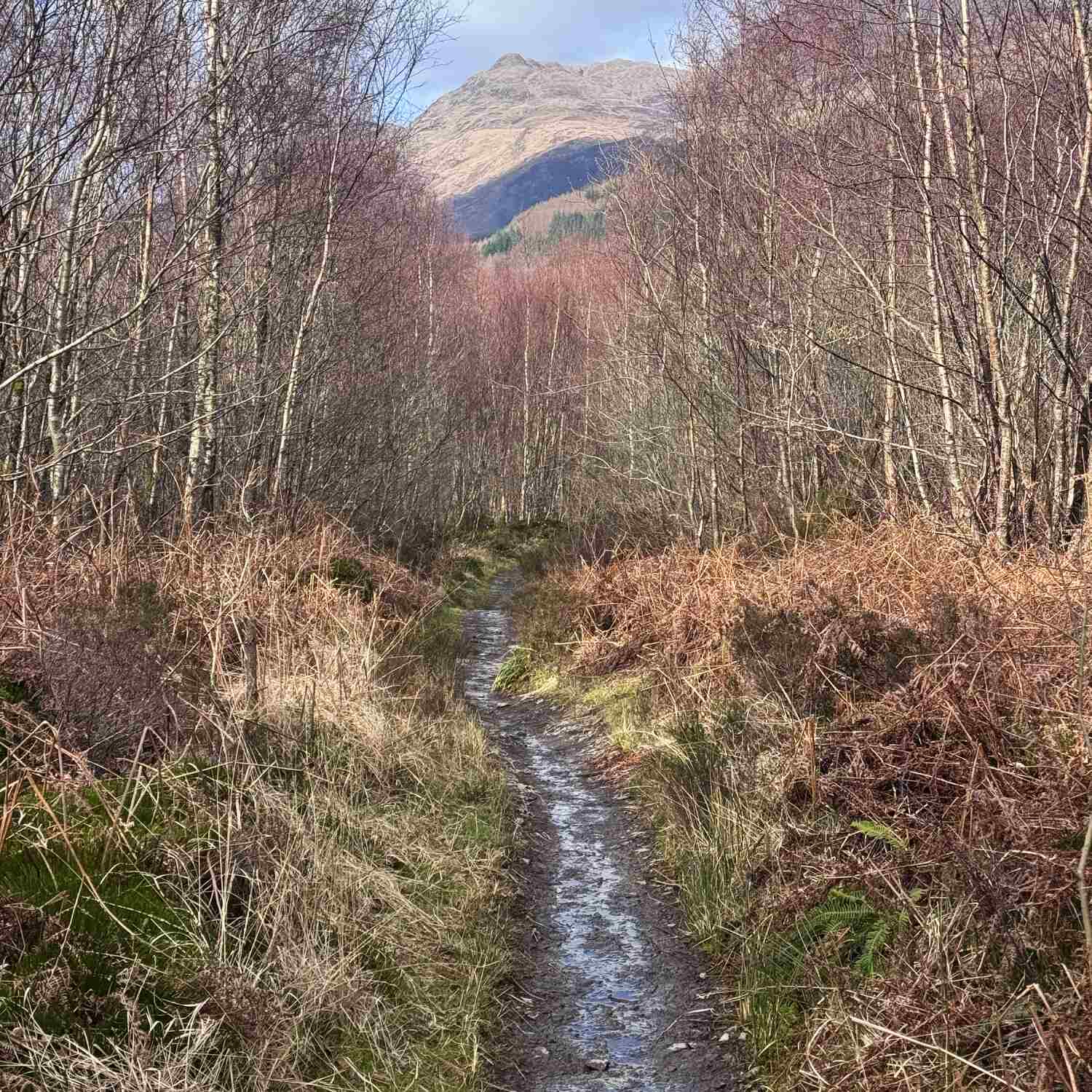 West Highland Way