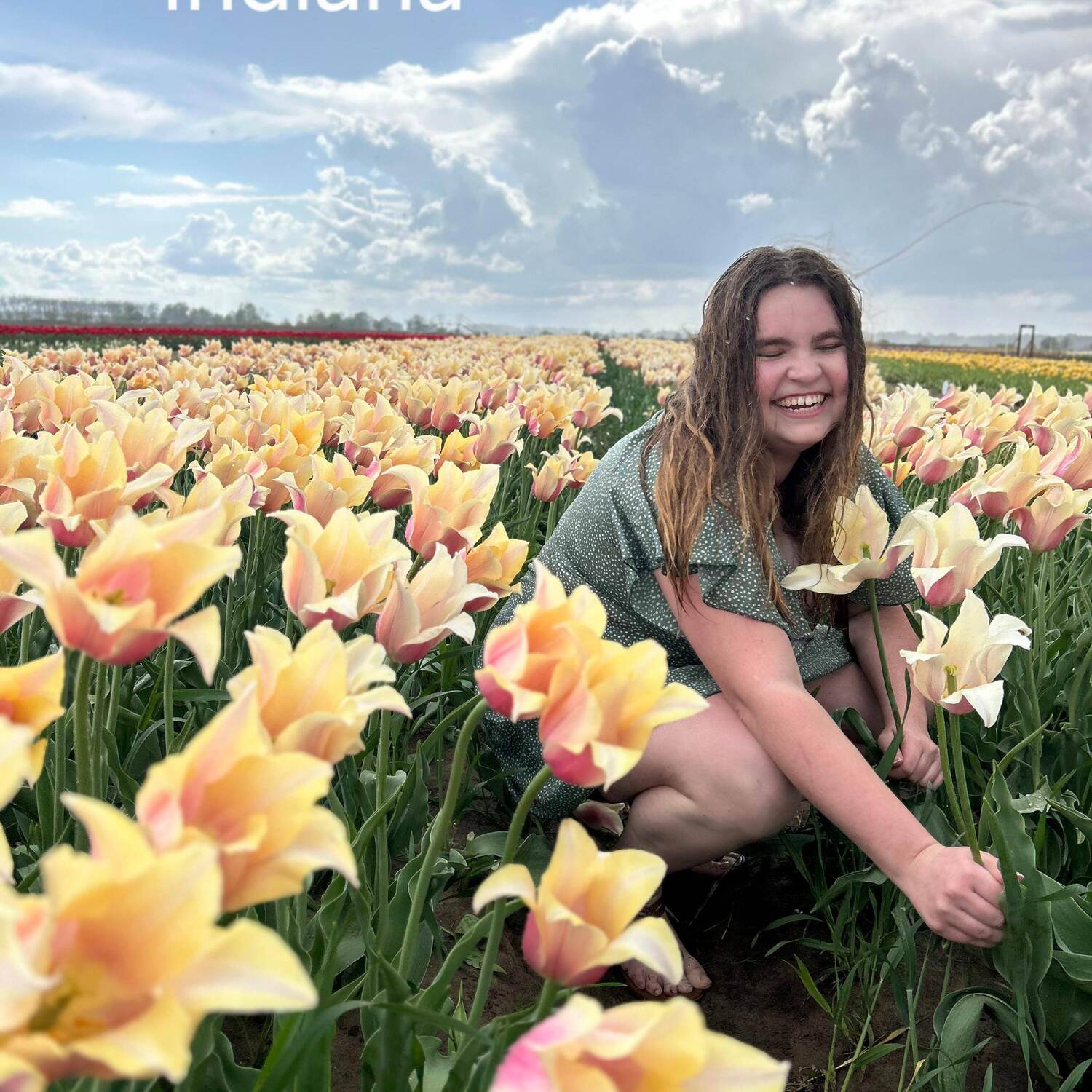 50 US States Challenge