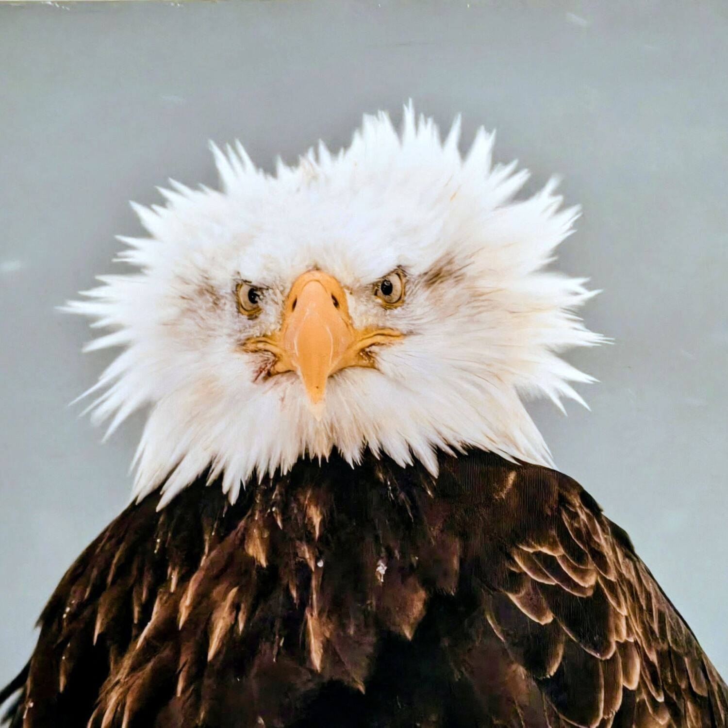 Zwischen Fernweh und Freiheit