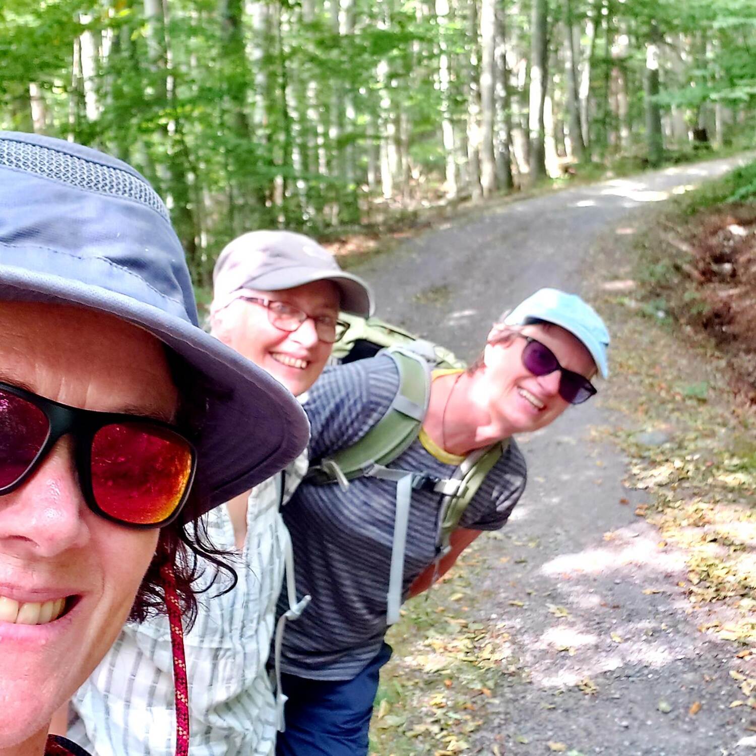 Skylark toGermany...and beyond