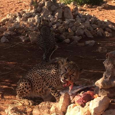 Namibia 2015