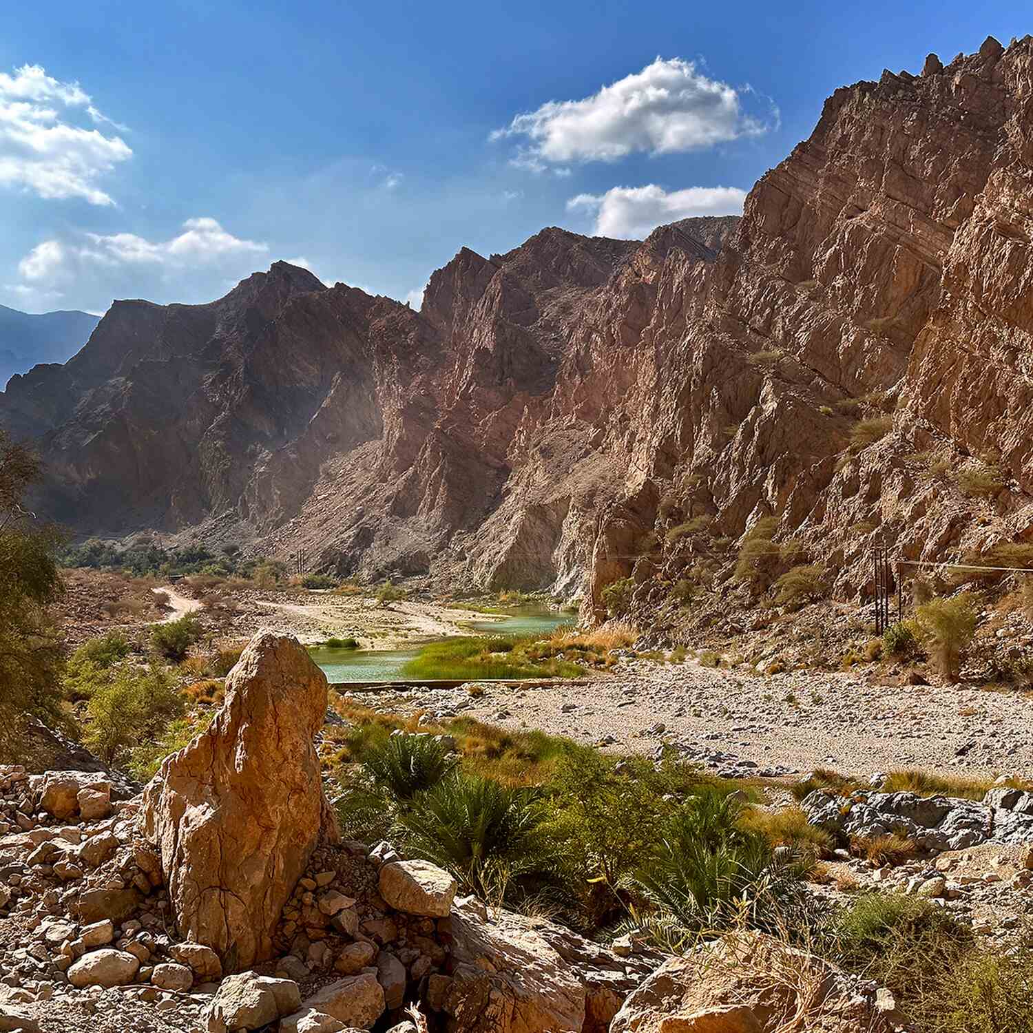 BB in Oman & VAE 2026